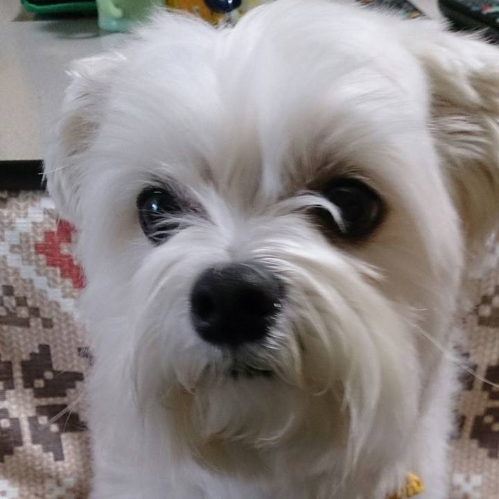 Fb5c6de6 c662 4ed8 af2a 8561f87dc380