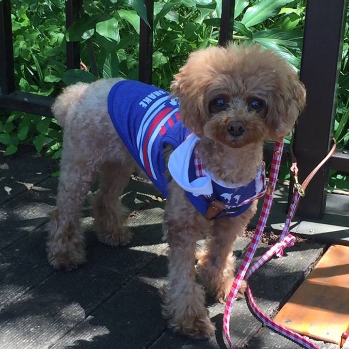 Fb5cd9f9 ec60 47f7 aa2e 5a866a38ba81