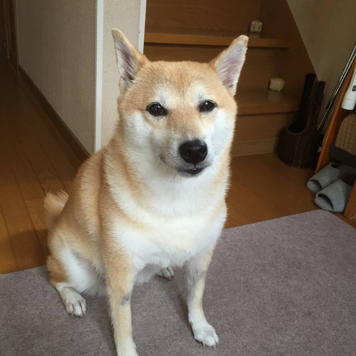 Fb5ceb10 62aa 4803 9d24 1ed4c036e28a