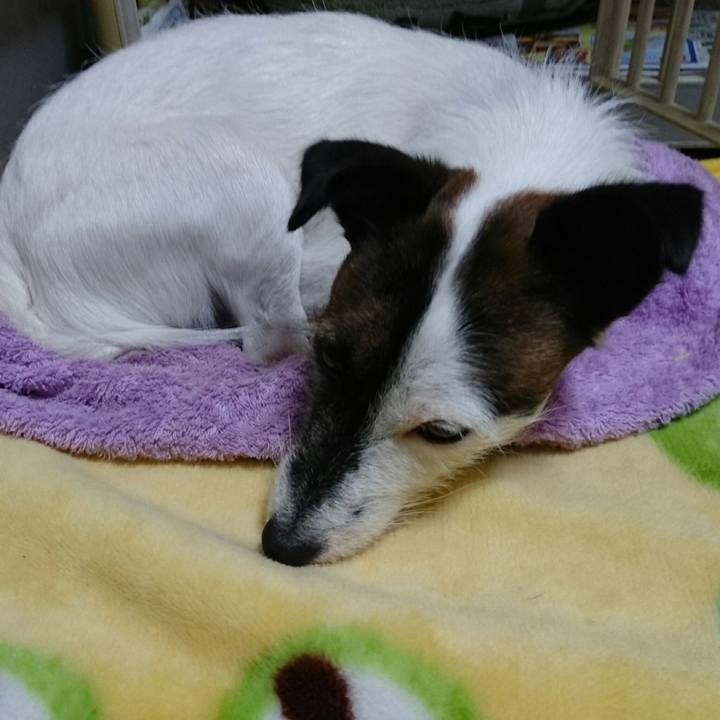 Fb5d027b 251b 4691 8568 8d9eb0c20e7e