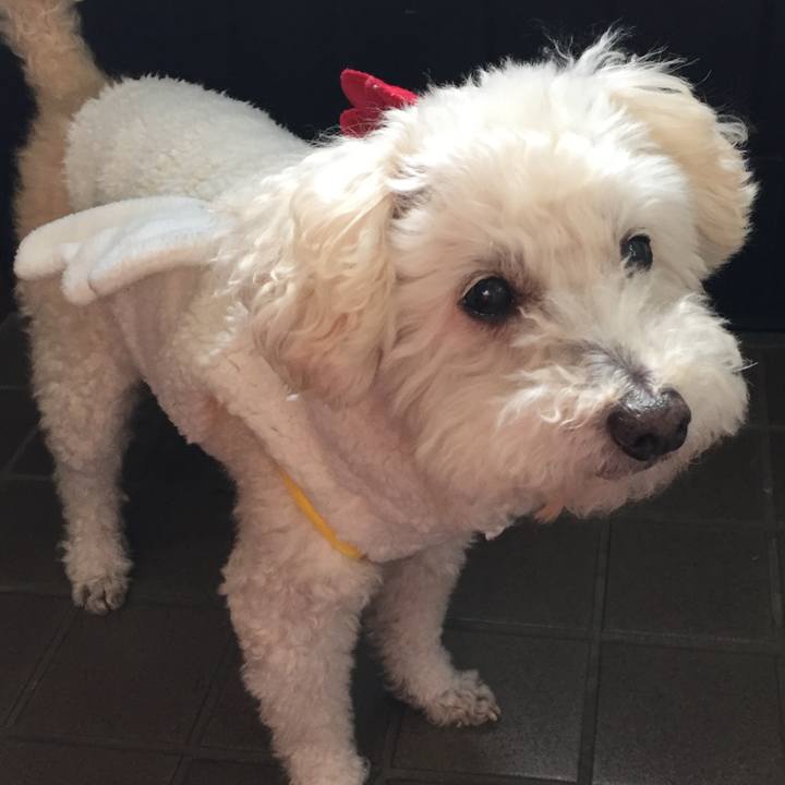 Fb5dec09 41f8 46c4 a23c 2c4598ca5432