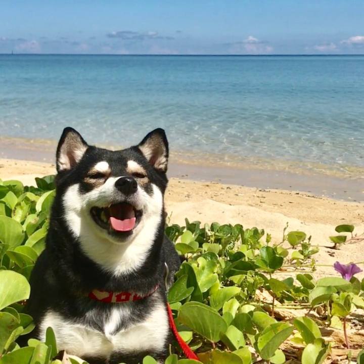 Fb5e1329 e247 4d6e 8d1c 14bd9171b400