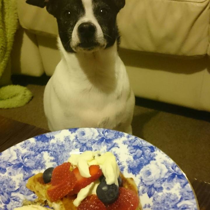 Fb5e2204 957d 42ec bc74 60bfe4cccd57