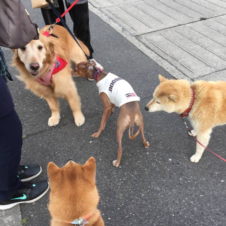 Fb5e7ec9 5ac3 4143 8aad 6d001e493a83