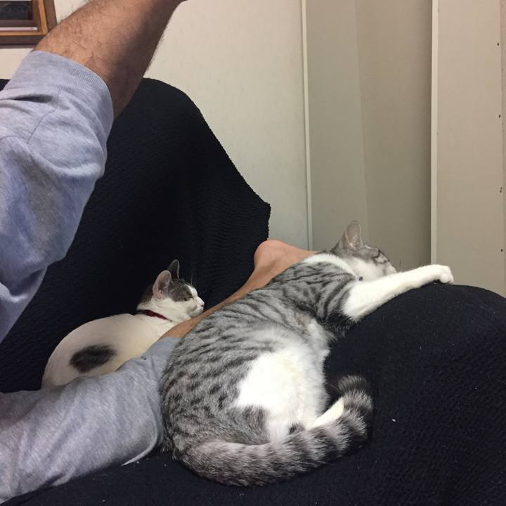 Fb5e906b 93c8 44fe b0e2 87e5f03807bb