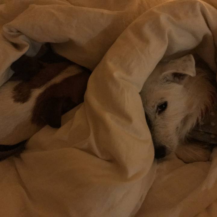 Fb5ecb0c 1254 44ab 97a9 b412b7d55420