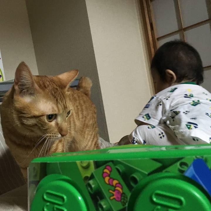 Fb5f6b6a 21cb 4f63 b4e6 336e7f805630