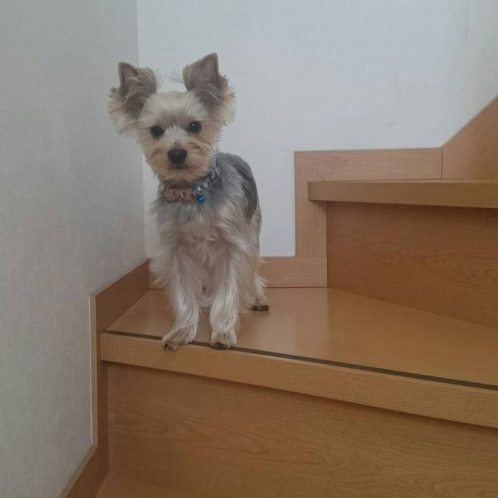 Fb5f7586 6138 457b 953a ea83da47b21d