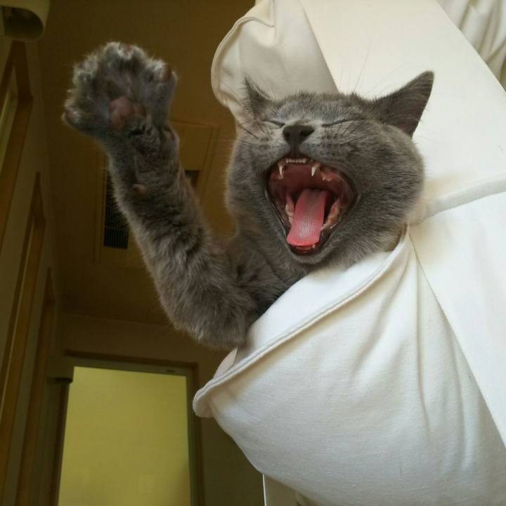 Fb601ae2 b315 4a78 a3d0 e0df6fddef0b