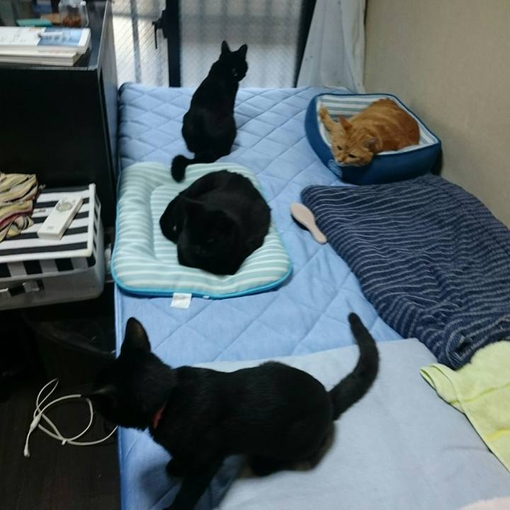 Fb6022b9 b7d2 4e33 83fe 61dd442fbdf2