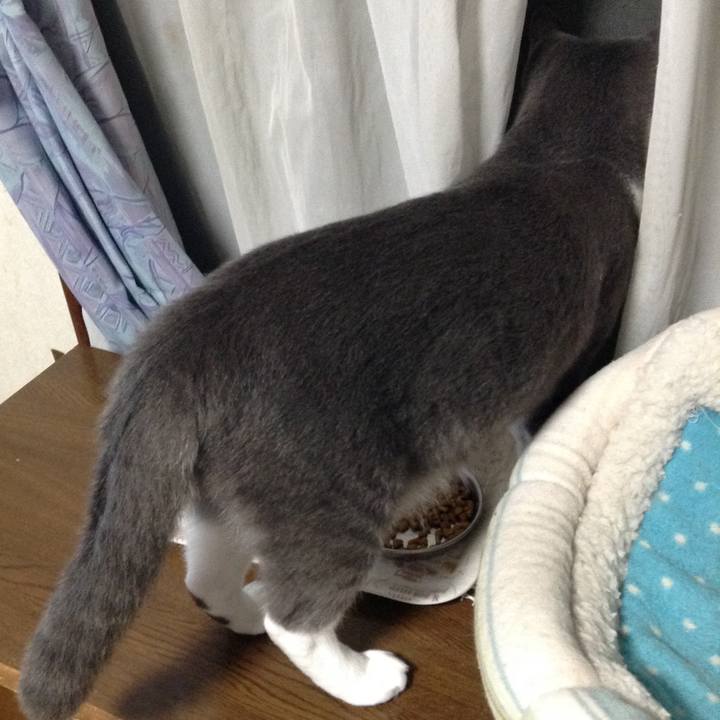 Fb6072c6 63aa 44ca bd11 b82fc8dab894