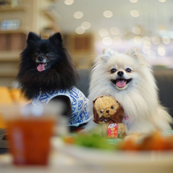 Fb608730 f92d 4745 9849 ec12647021a0