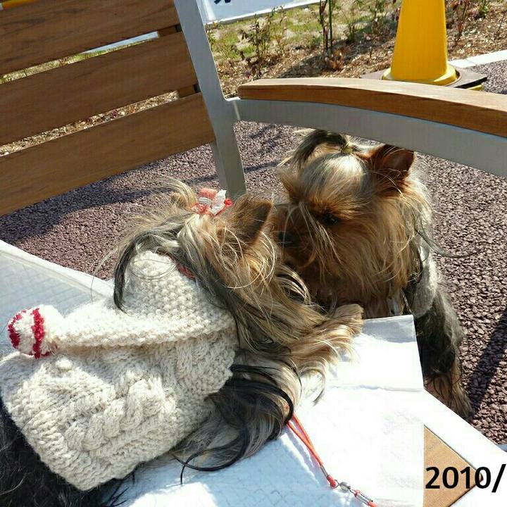 Fb60e608 05be 4e06 9842 f020ede382c7