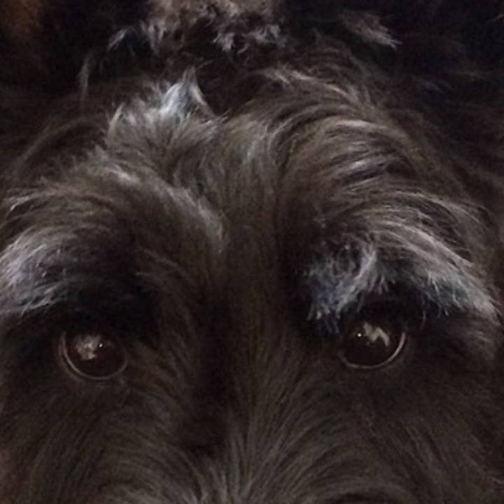 Fb614e0c c208 4f86 a628 b3804e0f72ce