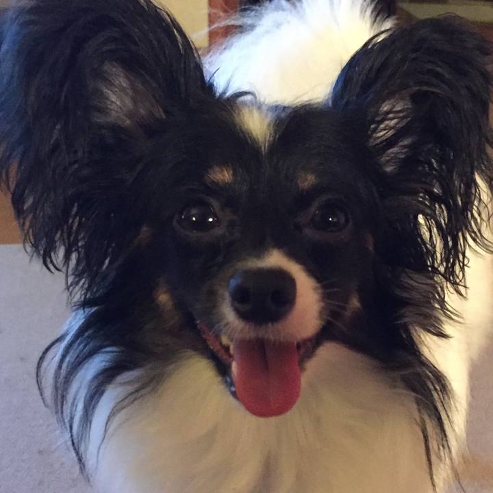 Fb6195fd b67e 42a9 bc94 f8ceb4a5c353