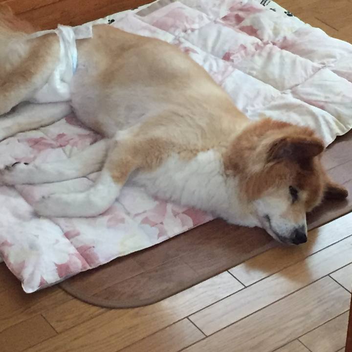 Fb619eab de4f 4a78 b5ee 699e192e6a60