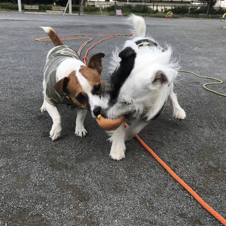 Fb62190b 552b 4284 b9b9 0ce37a991e10