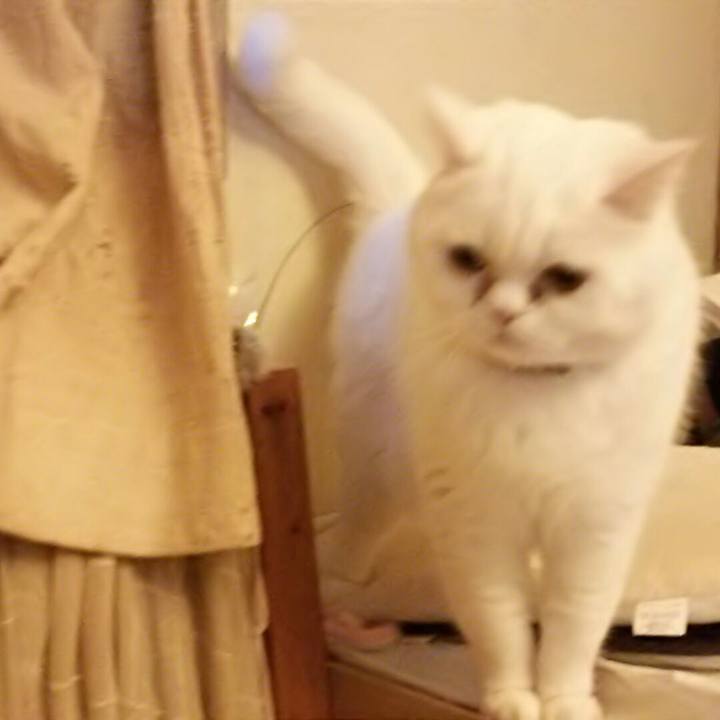 Fb621e45 8a0c 4b1f a902 2aa722eeed47