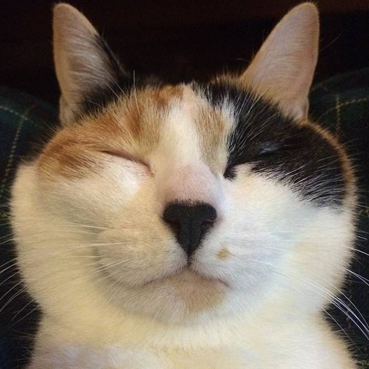 Fb632527 060e 429a b543 3c4b9adaa986