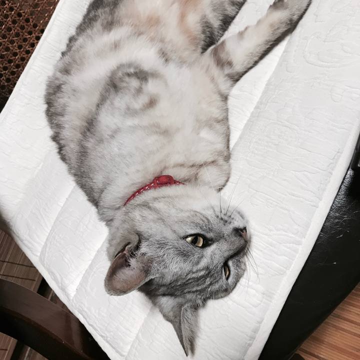 Fb637609 2dcd 4c9d 8c49 8f01a71b279c