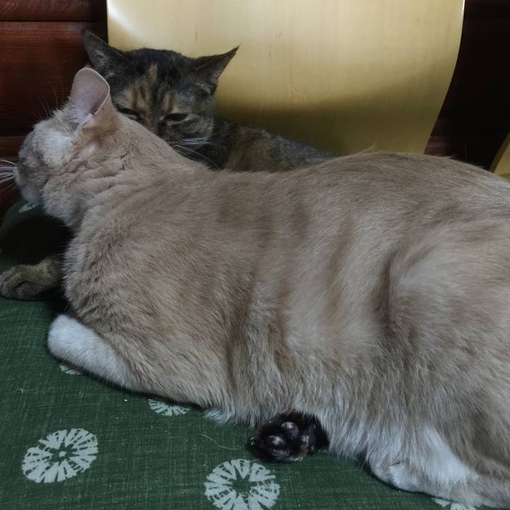 Fb63db78 3c9a 44ef b6ef 2d0b88b898e7