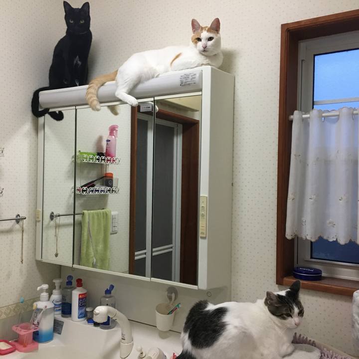 Fb643153 9047 428e bdf7 d48746652c12