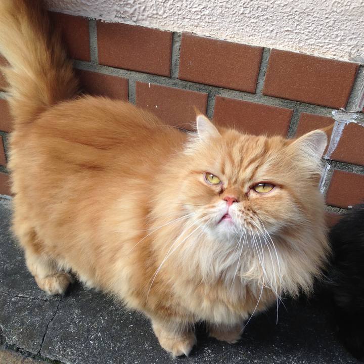 Fb643642 d72a 4e12 b7a8 152a98f5251e