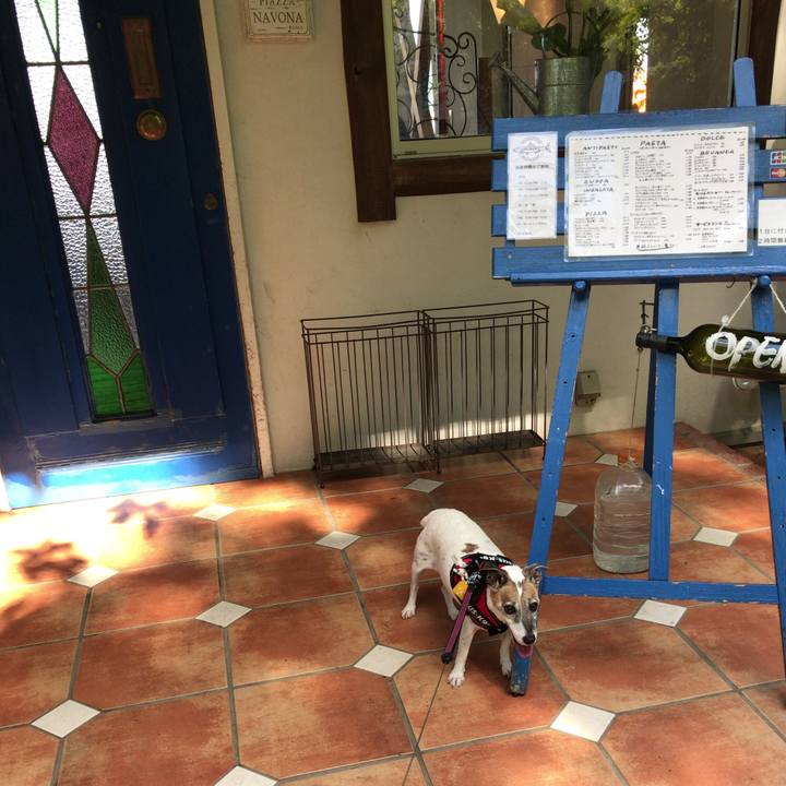 Fb654eec bf34 462c bdcf 6f656daceb0f