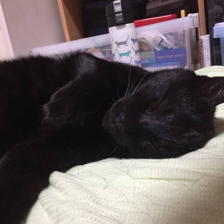 Fb6597cc 496d 43ff 8be5 2fb8bd61e96e