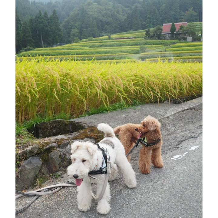 Fb65f723 97d9 45c8 bda4 3e20216cf870