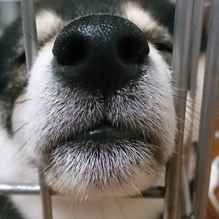 Fb66620c 62fa 41f6 b27c 06fc923fb385