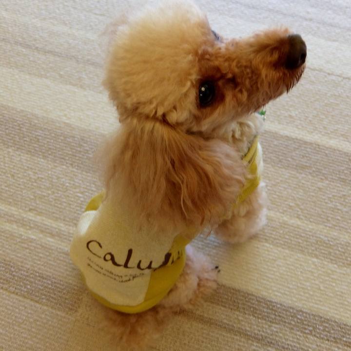 Fb6693df bdb5 4216 98eb bafac633a7f0