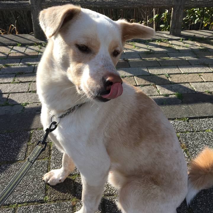 Fb67b799 c968 4d13 a887 fac0b5fea45d