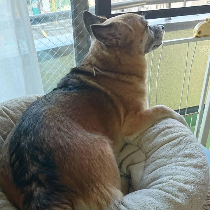 Fb680c4f d200 42da 8b3d 1de5654e892a