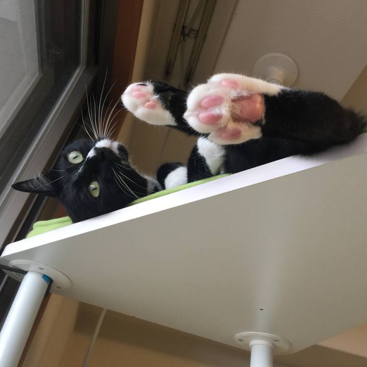 Fb6816df 89d6 4048 b17d 61338f3acaa9