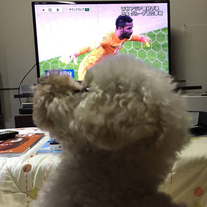 Fb6832ae aa9e 4252 a862 ace890dedbab