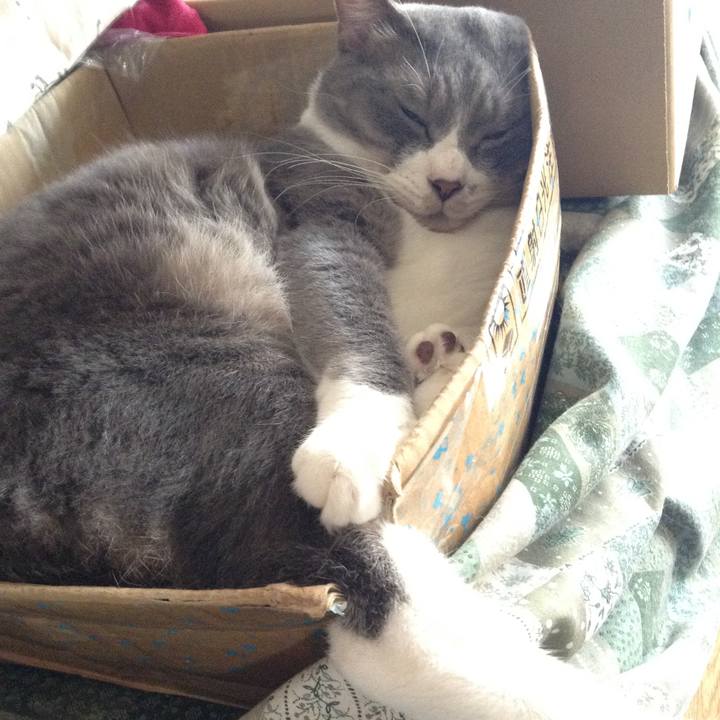 Fb68b706 8a49 44ad 96fe bb4fedada721