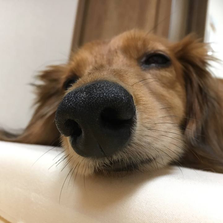 Fb6a4fd2 c569 4257 91ea 31b68e6a275c