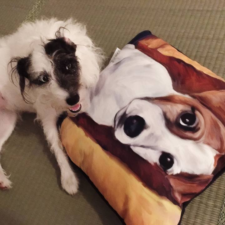 Fb6bcb04 afd3 414e b766 c32ef57e614b