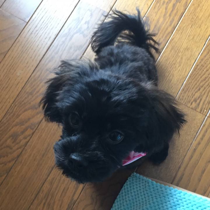 Fb6be983 d74e 453e 83bb ecdb9092308b