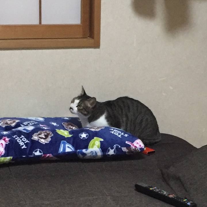 Fb6cd9d0 d006 4a56 86a3 84edf144d1f9