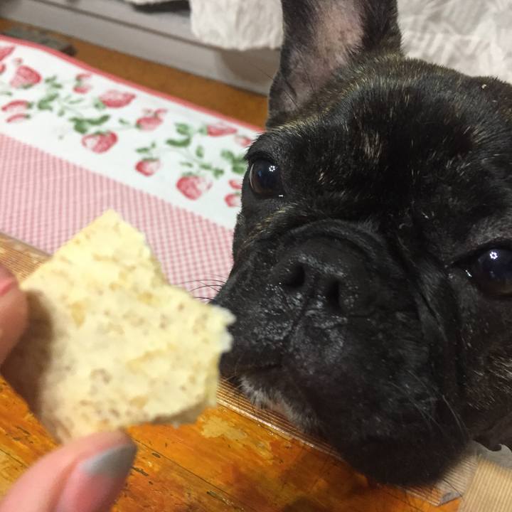 Fb6d2ec3 f28f 441f a8d9 4ca64f32ece0