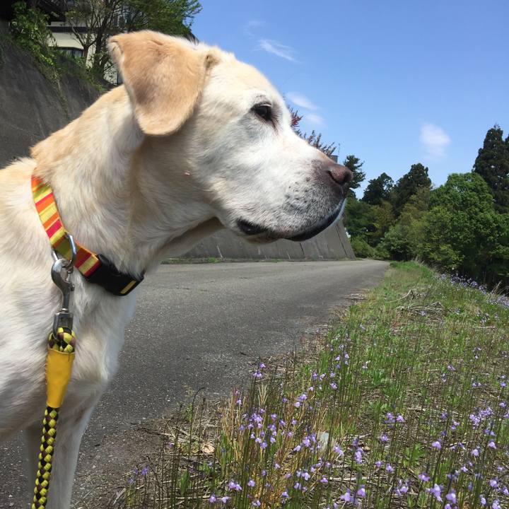 Fb6e3512 3511 4400 89ee f3cde754176f