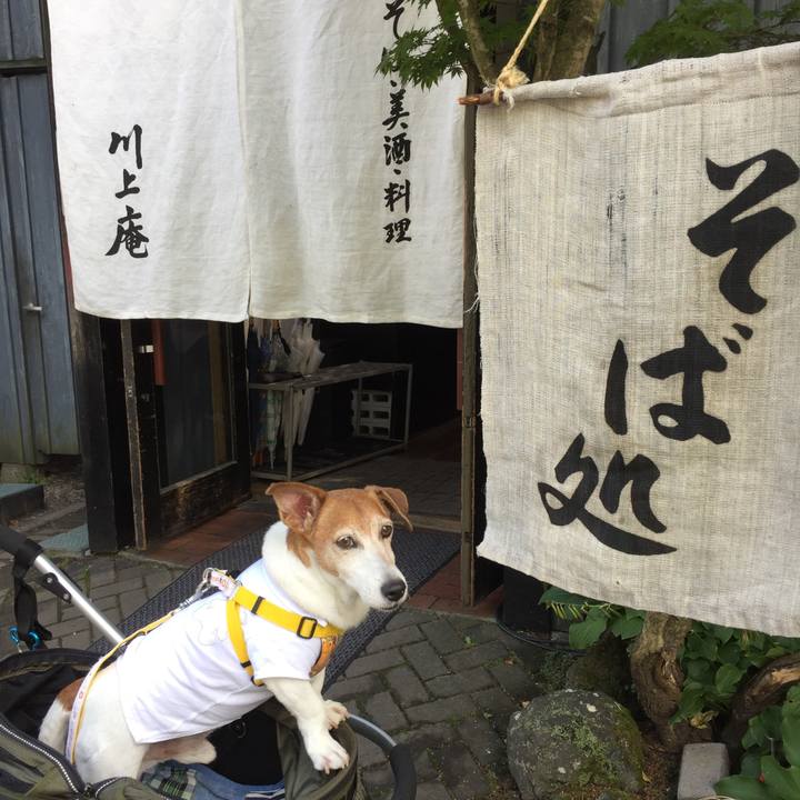 Fb6eb419 a156 4068 aaba 8bbe0619a536