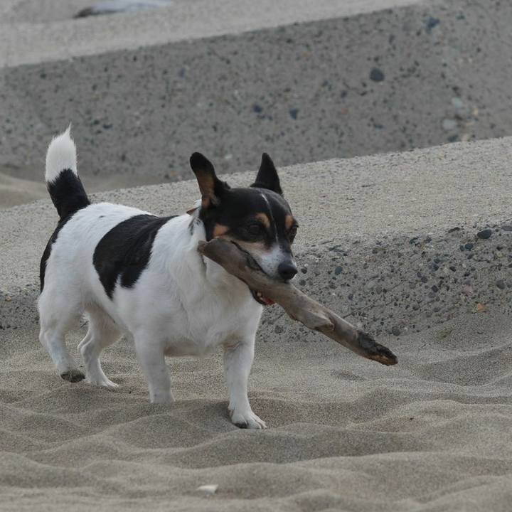 Fb6ed197 237c 4a00 9dbd 8d5224db5d44