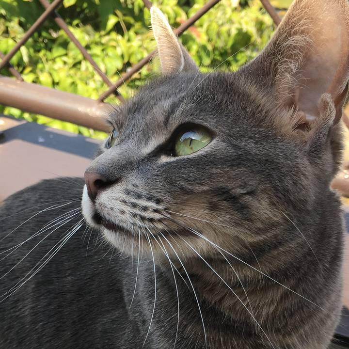 Fb6f0b4c 95b1 4511 a03c 9817780ac70f