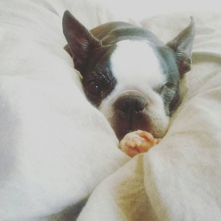 Fb6f6684 00a3 403f 9d49 79e474043de5