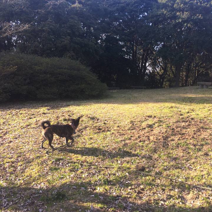 Fb6fbda8 9ef2 4543 b3d5 8fb8d7f976eb