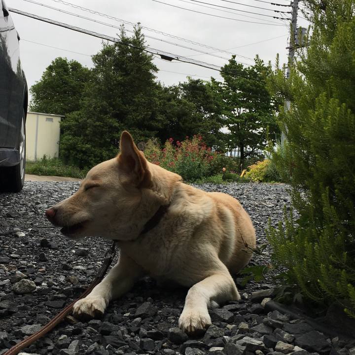 Fb6ff224 5a5f 4f9e a82f d84b5b2dc24b