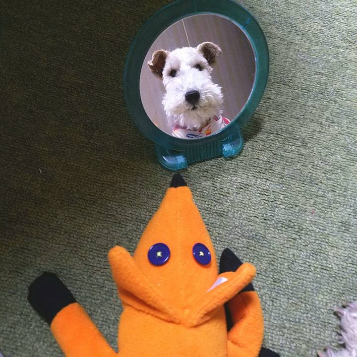 Fb7005e5 1bf6 4071 801a fb5639ce1ddf